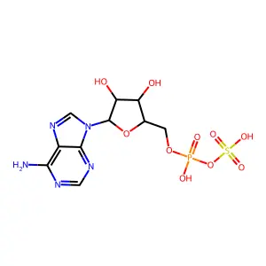 9-{5-O-[Hydroxy(sulfooxy)phosphoryl]pentofuranosyl}-9H-purin-6-amine structure
