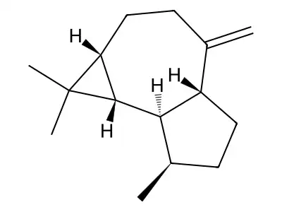 Aromadendrene structure