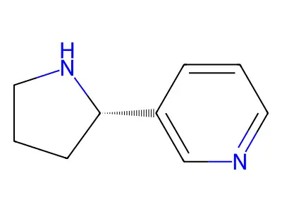 Nornicotine structure