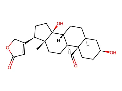 Corotoxigenin structure