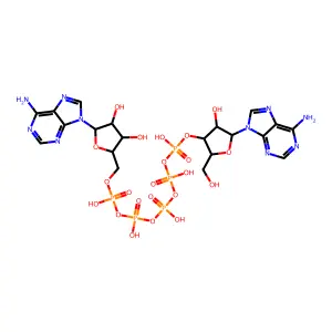 Adenosine 3'-(hexahydrogen pentaphosphate), P''''->5'-ester with adenosine structure