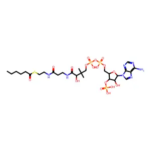 Hexanoyl Coenzyme A, Free acid structure