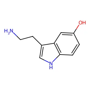 Serotonin structure
