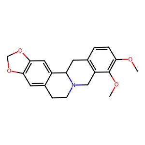 (S)-Canadine structure