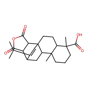 Maleopimaric acid structure