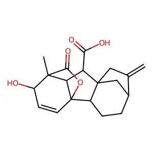 Gibberellin A7 structure