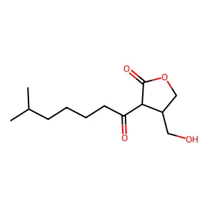 A-Factor structure