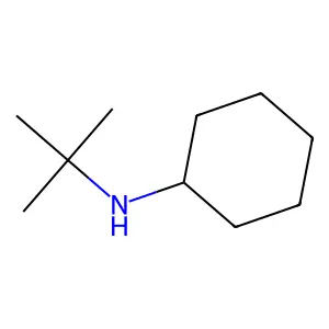 N-tert-butylcyclohexylamine structure