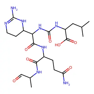elastatinal structure