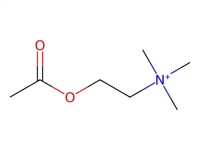 Acetylcholine structure