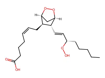prostaglandin G2 structure