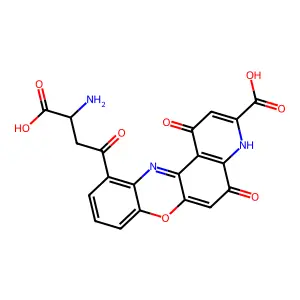 Xanthommatin structure