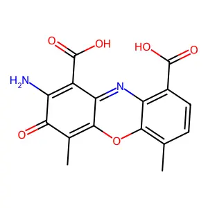 Actinocin structure