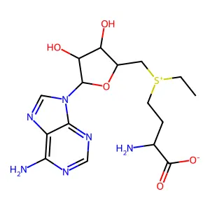 S-Adenosylethionine structure