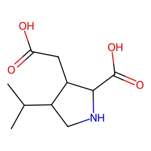 3-(Carboxymethyl)-4-isopropylpyrrolidine-2-carboxylic acid structure