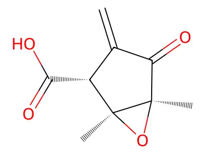 1,5-Dimethyl-3-methylidene-4-oxo-6-oxabicyclo[3.1.0]hexane-2-carboxylic acid structure