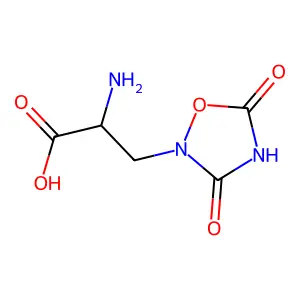 2-Amino-3-(3,5-dioxo-1,2,4-oxadiazolidin-2-yl)propanoic acid structure