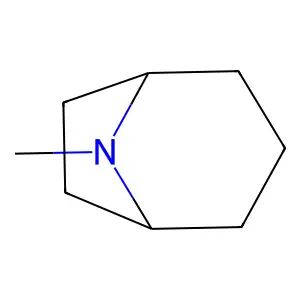 8-Methyl-8-azabicyclo[3.2.1]octane structure
