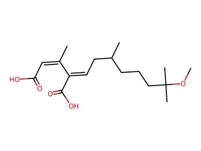 4-(7-Methoxy-3,7-dimethyloctylidene)-3-methylpent-2-enedioic acid structure