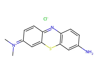 Giemsa Stain structure