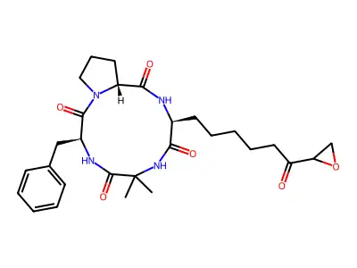 chlamydocin structure