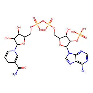 NADPH structure