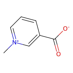 Trigonelline structure