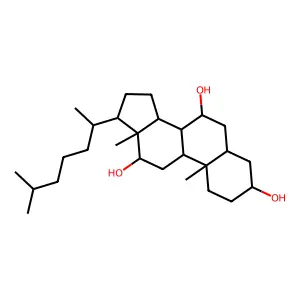 Trihydroxycoprostane structure