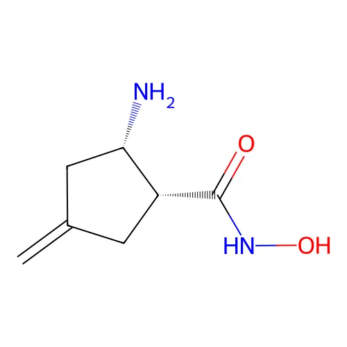 (1R,2S)-2-amino-4-methylene-cyclopentanecarbohydroxamic acid structure