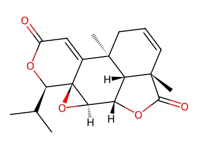 Podolide structure