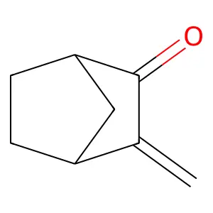 3-Methylene-2-norbornanone structure