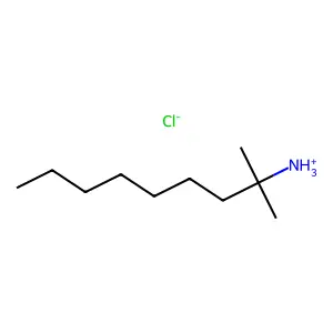 2-Methylnonan-2-amine--hydrogen chloride (1/1) structure