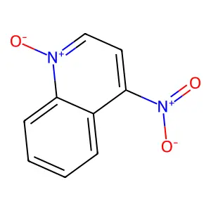4-Nitroquinoline 1-Oxide structure