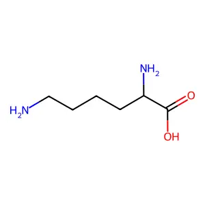 L-Lysine structure