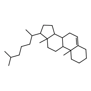 5-Cholestene structure