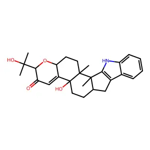 Paxillin structure