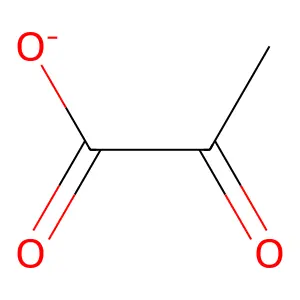 Pyruvate structure