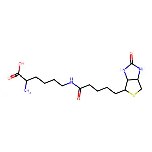Biocytin structure