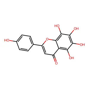 5,6,7,8-tetrahydroxy-2-(4-hydroxyphenyl)-4H-1-benzopyran-4-one structure