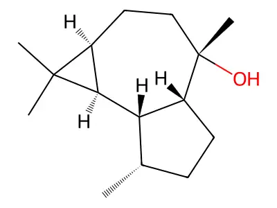 Ledum camphor structure
