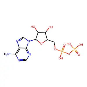 Adenosine 5'-(trihydrogen pyrophosphate), sodium salt (1:3) structure