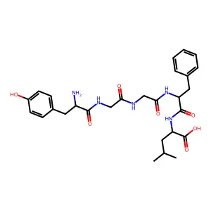 Leucine enkephalin structure