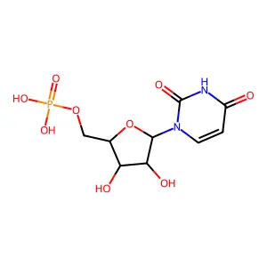 Uridylic acid structure