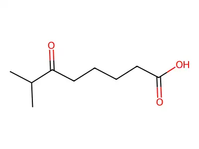 7-Methyl-6-oxooctanoic acid structure