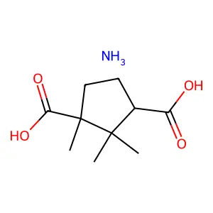 Ammonium camphorate structure