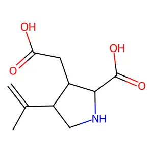 beta-Kainic acid structure