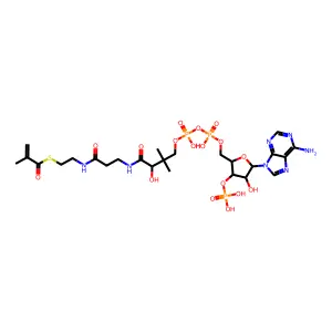 methacrylyl-CoA structure