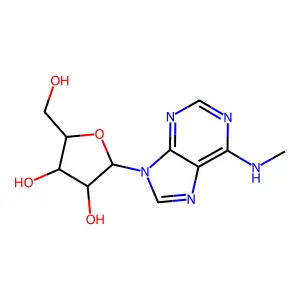 6-Methylaminopurine arabinoside structure