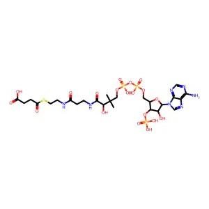 Succinyl Coenzyme A, Free acid structure