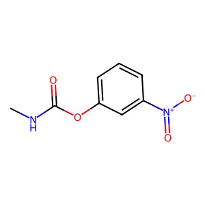 Carbamic acid, N-methyl-, 3-nitrophenyl ester structure